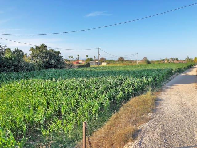 Terreno/Finca Rústica en venta en Dolores, Alicante