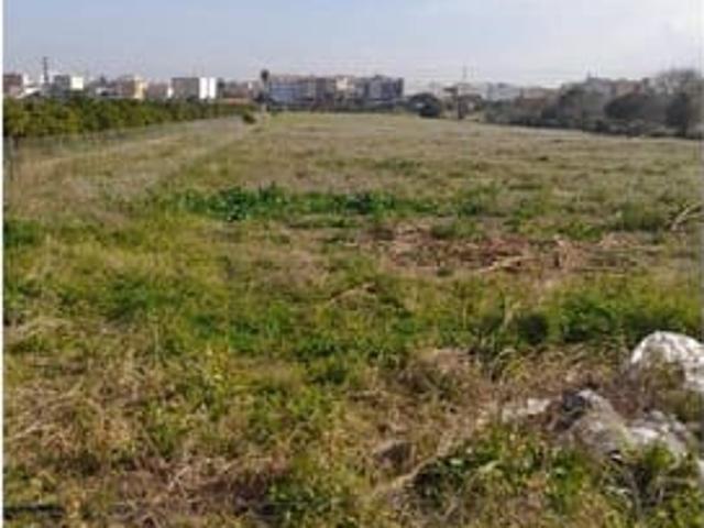Terreno/Finca Rústica en venta en El Vergel / Verger, Alicante Costa Blanca