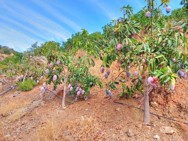 Terreno/Finca Rústica en venta en El Borge, Málaga Costa del Sol