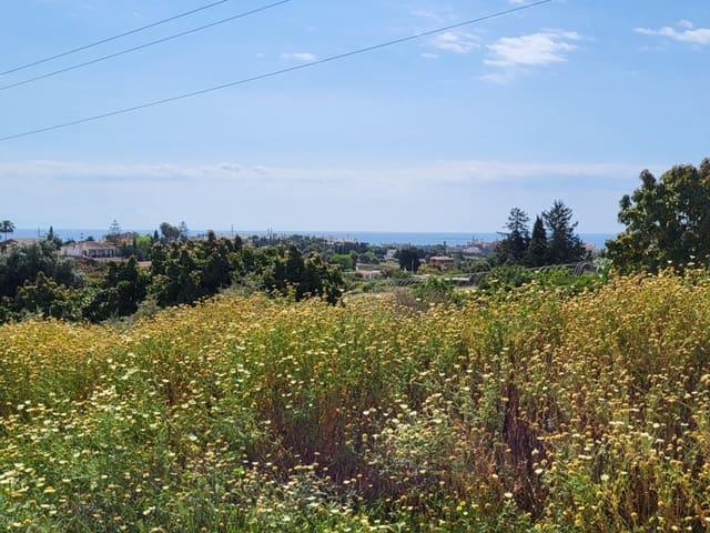 Terreno/Finca Rústica en venta en El Padrón, Málaga Costa del Sol
