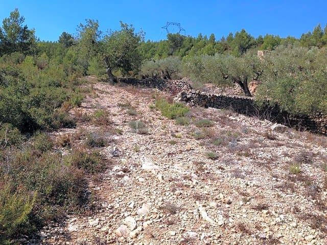 Terreno/Finca Rústica en venta en El Perelló, Tarragona Costa Dorada
