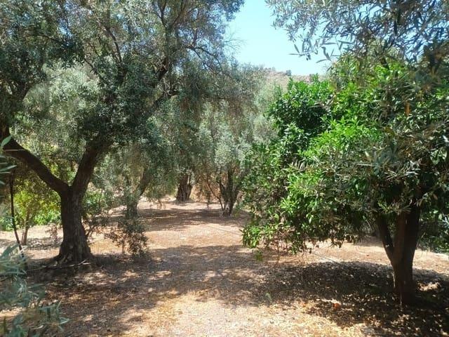 Terreno/Finca Rústica en venta en El Pinar, Granada