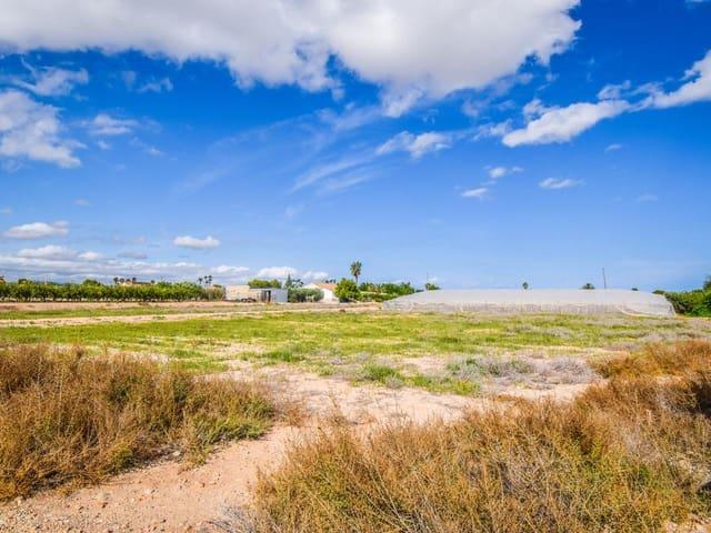 Terreno/Finca Rústica en venta en Elche / Elx, Alicante