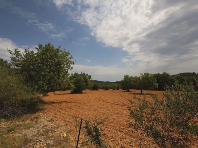 Terreno/Finca Rústica en venta en Felanitx, Mallorca