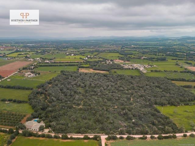 Terreno/Finca Rústica en venta en Felanitx, Mallorca