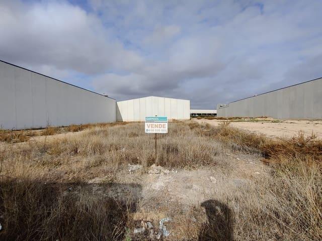 Terreno/Finca Rústica en venta en Fuente Alamo de Murcia, Murcia Costa Cálida