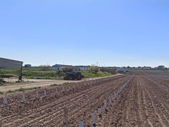 Terreno/Finca Rústica en venta en Fuentes de Andalucía, Sevilla