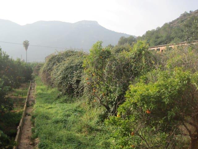 Terreno/Finca Rústica en venta en Gandia, Valencia Costa Valencia