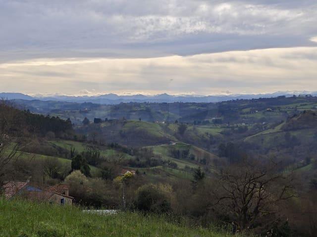 Terreno/Finca Rústica en venta en Gijón, Asturias Costa Verde