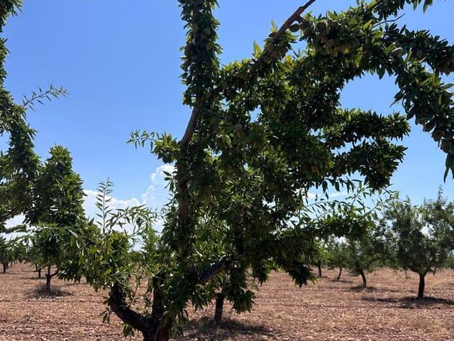 Terreno/Finca Rústica en venta en Granada, Granada