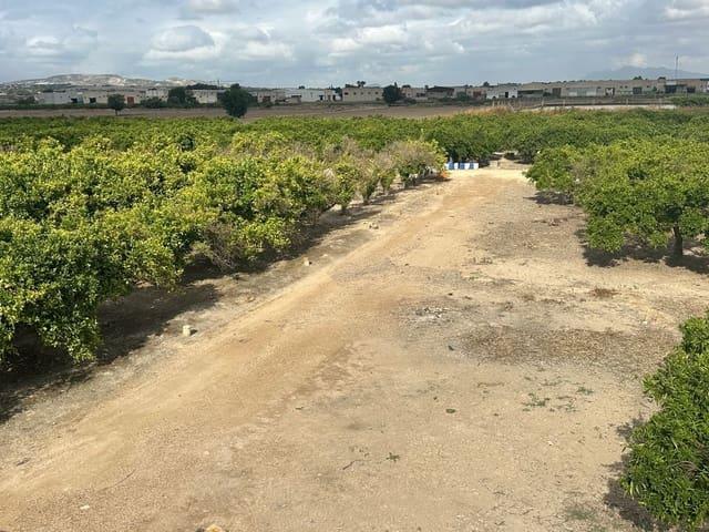 Terreno/Finca Rústica en venta en Heredades, Alicante
