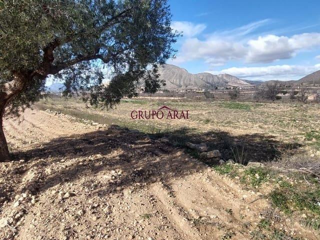 Terreno/Finca Rústica en venta en Hondón de los Frailes, Alicante