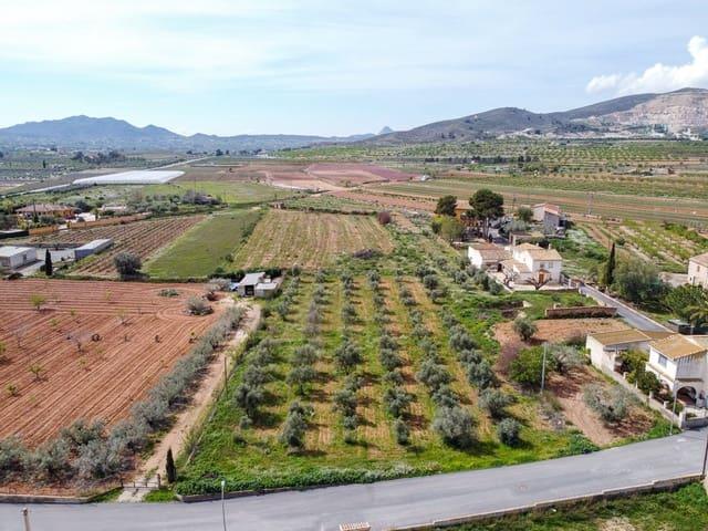 Terreno/Finca Rústica en venta en Hondón de las Nieves, Alicante