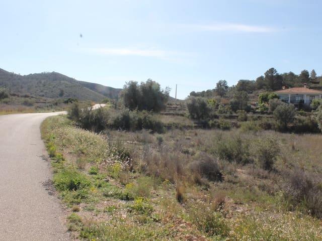 Terreno/Finca Rústica en venta en Hondón de las Nieves, Alicante