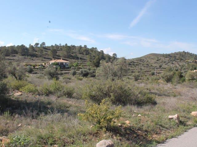 Terreno/Finca Rústica en venta en Hondón de las Nieves, Alicante