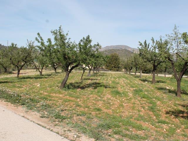 Terreno/Finca Rústica en venta en Hondón de las Nieves, Alicante