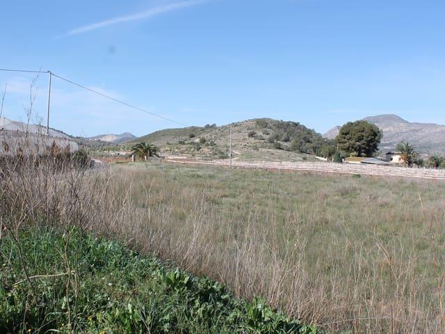 Terreno/Finca Rústica en venta en Hondón de las Nieves, Alicante
