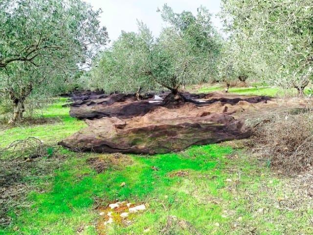 Terreno/Finca Rústica en venta en Hornachuelos, Córdoba