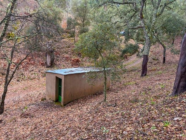 Terreno/Finca Rústica en venta en Galaroza, Huelva