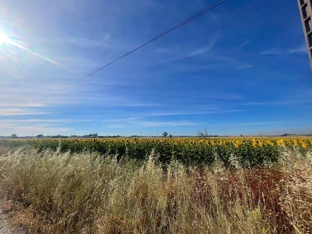 Terreno/Finca Rústica en venta en Huelva, Huelva Costa de la Luz