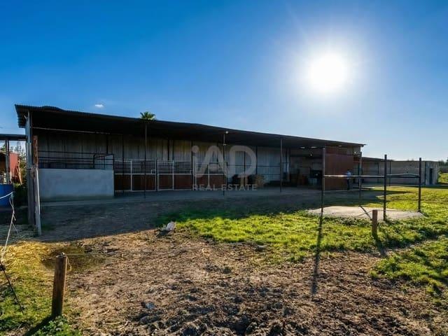 Terreno/Finca Rústica en venta en Almonte, Huelva