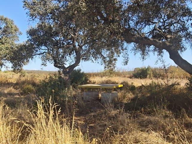 Terreno/Finca Rústica en venta en Villablanca, Huelva