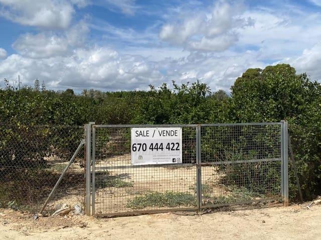 Terreno/Finca Rústica en venta en Jacarilla, Alicante