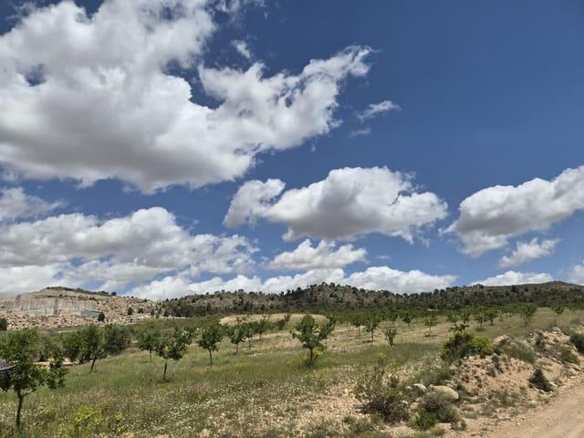 Terreno/Finca Rústica en venta en Jumilla, Murcia