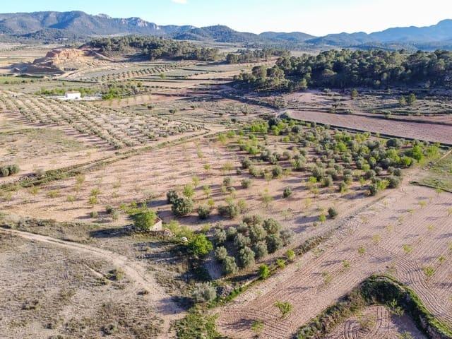 Terreno/Finca Rústica en venta en Jumilla, Murcia