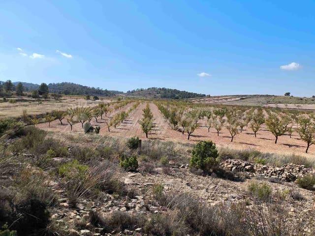 Terreno/Finca Rústica en venta en Jumilla, Murcia