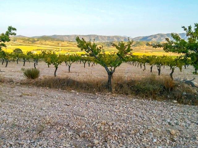 Terreno/Finca Rústica en venta en Jumilla, Murcia