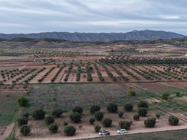 Terreno/Finca Rústica en venta en Jumilla, Murcia