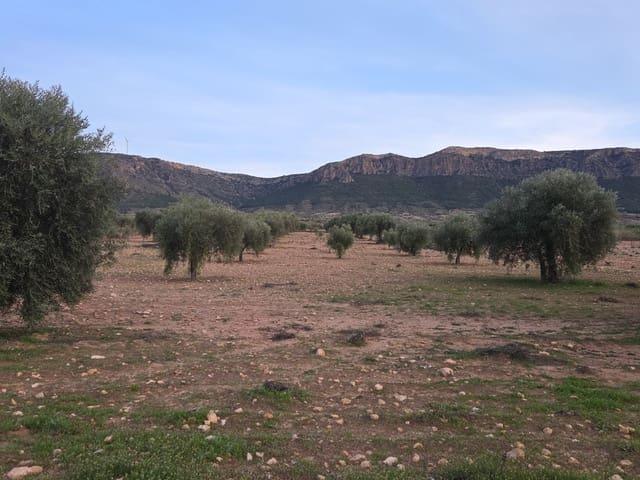 Terreno/Finca Rústica en venta en Jumilla, Murcia