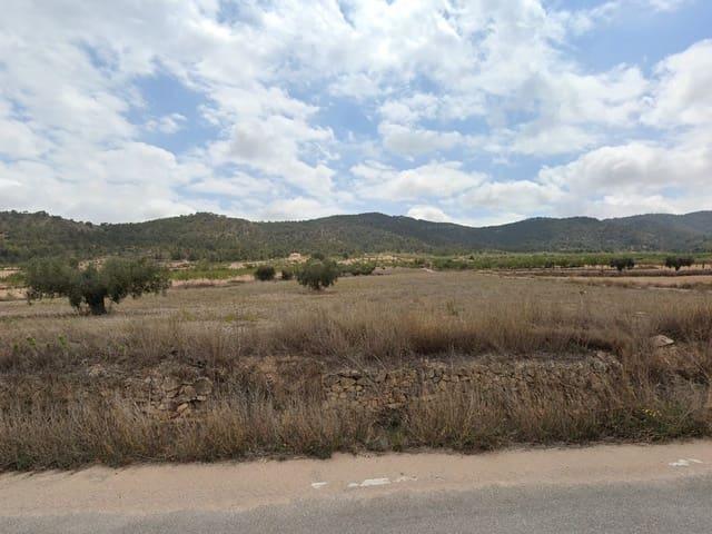 Terreno/Finca Rústica en venta en La Zarza, Alicante