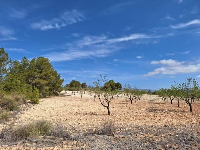 Terreno/Finca Rústica en venta en La Zarza, Murcia