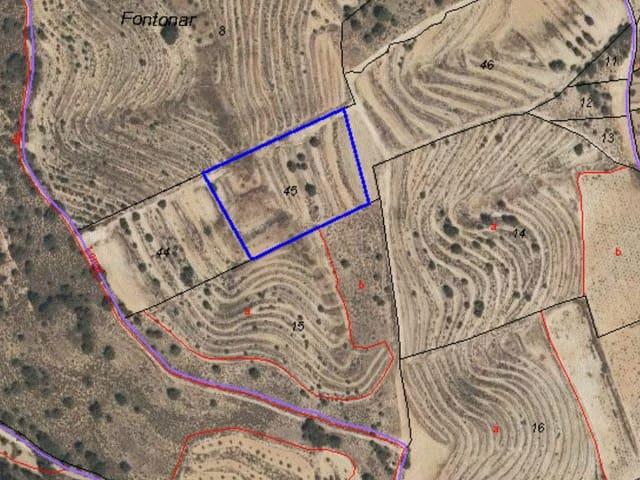 Terreno/Finca Rústica en venta en La Zarza, Murcia