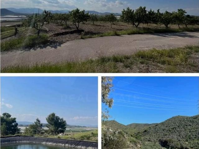 Terreno/Finca Rústica en venta en La Campana, Murcia