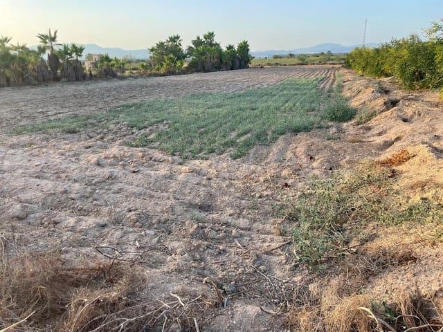 Terreno/Finca Rústica en venta en La Hoya, Alicante Costa Blanca