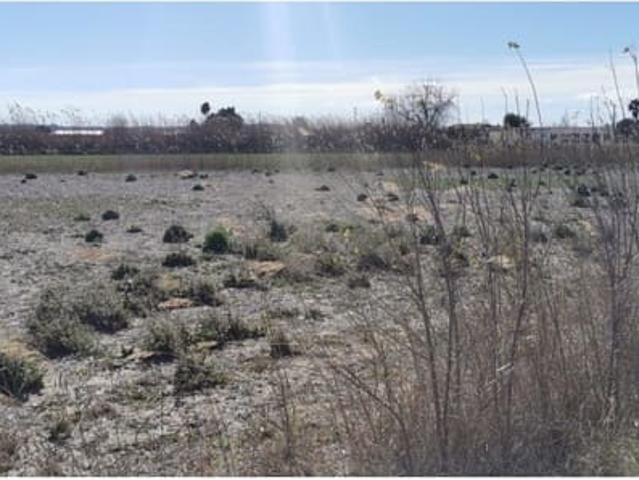 Terreno/Finca Rústica en venta en Elche / Elx, Alicante