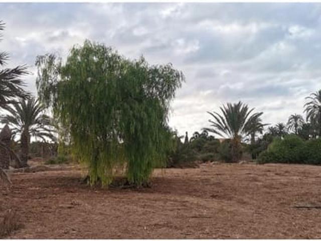 Terreno/Finca Rústica en venta en La Marina, Alicante Costa Blanca