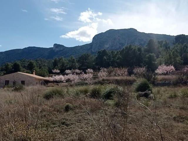 Terreno/Finca Rústica en venta en La Romana, Alicante