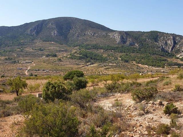 Terreno/Finca Rústica en venta en La Romana, Alicante