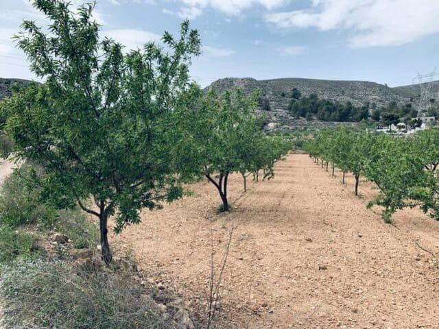 Terreno/Finca Rústica en venta en La Romana, Alicante