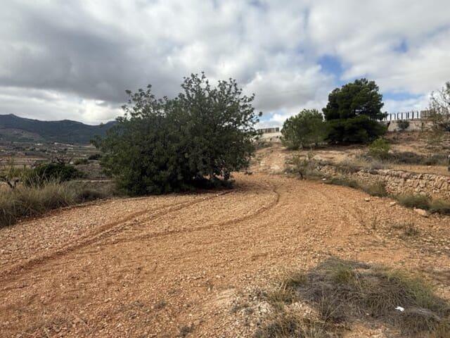 Terreno/Finca Rústica en venta en La Romana, Alicante