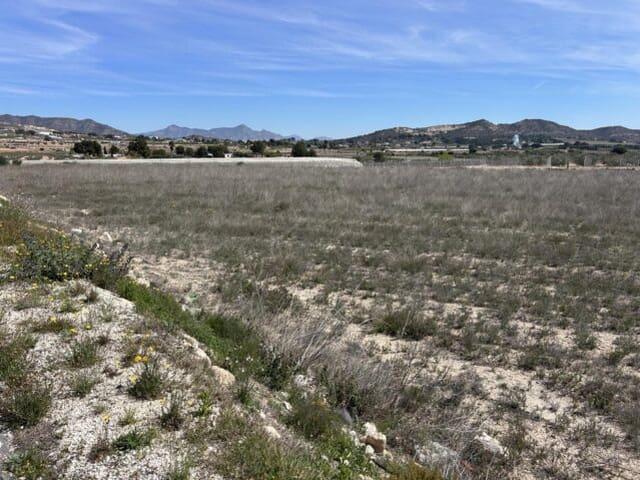 Terreno/Finca Rústica en venta en La Romana, Alicante