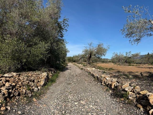 Terreno/Finca Rústica en venta en L'Ametlla de Mar, Tarragona Costa Dorada