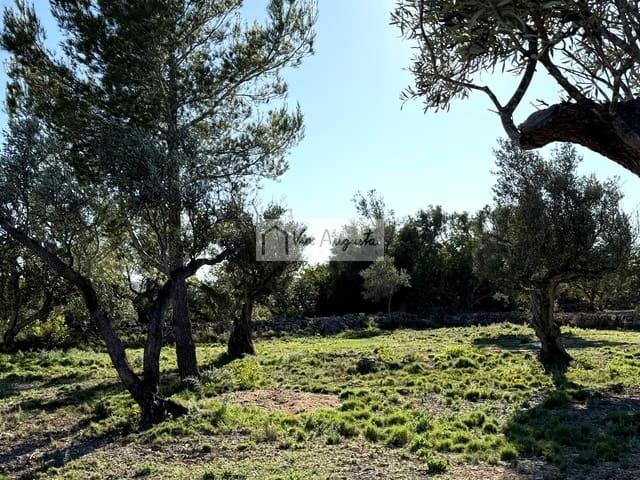 Terreno/Finca Rústica en venta en L'Ametlla de Mar, Tarragona Costa Dorada