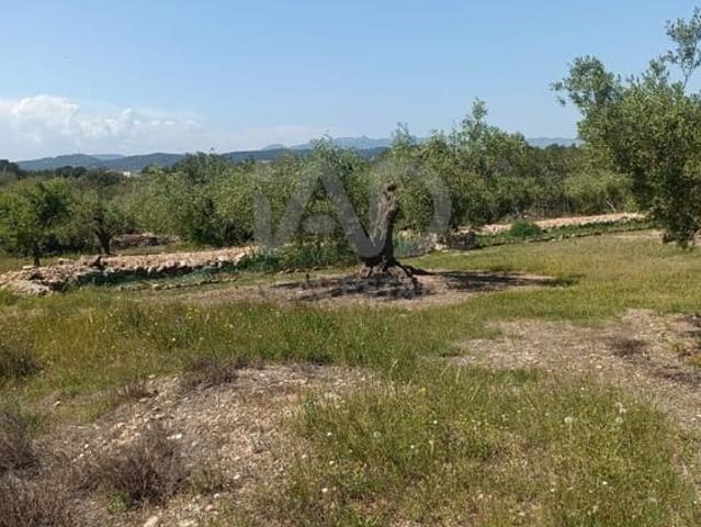 Terreno/Finca Rústica en venta en L'Ametlla de Mar, Tarragona Costa Dorada