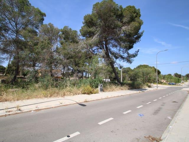 Terreno/Finca Rústica en venta en L'Arenal / S'Arenal, Mallorca