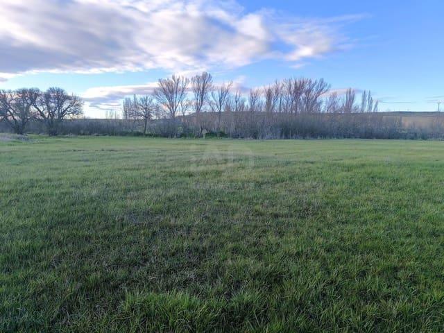 Terreno/Finca Rústica en venta en León, León